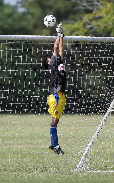 但前提是马 但前提是马