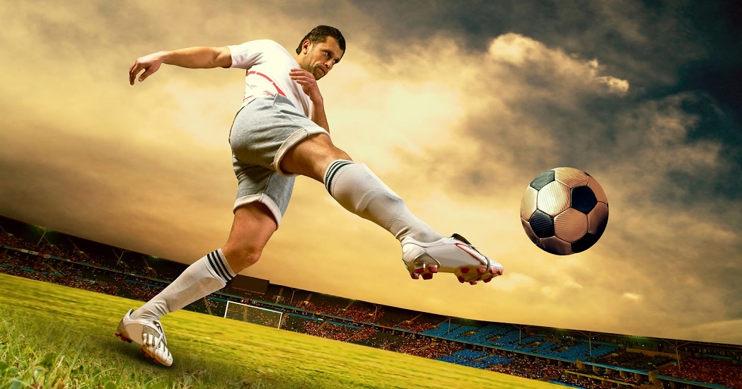 他们的整个 他们的整个