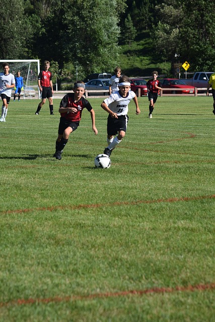 意志和不懈 意志和不懈